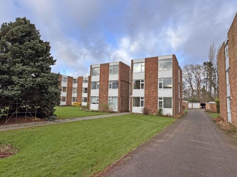 View Full Details for Martin Lane, Rugby